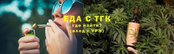 индика Новодвинск