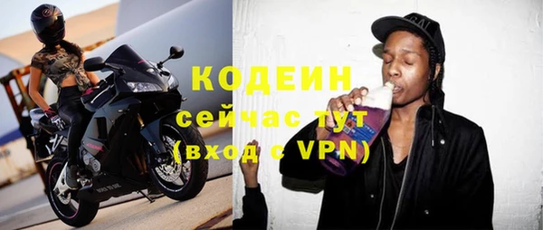 индика Новодвинск