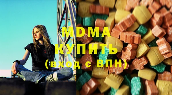 индика Новодвинск
