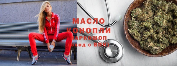 индика Новодвинск