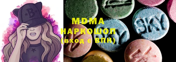 индика Новодвинск