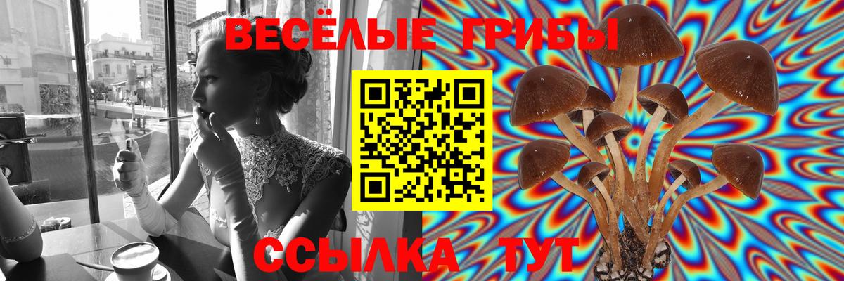 Галлюциногенные грибы Psilocybine cubensis  Псилоцибиновые грибы ЛСД  Сарапул  Вход с VPN 